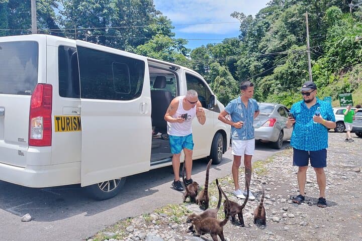 Private Shuttle SJO–La Fortuna + Refreshment Stop