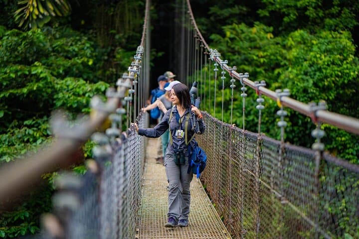 Hanging Bridges
