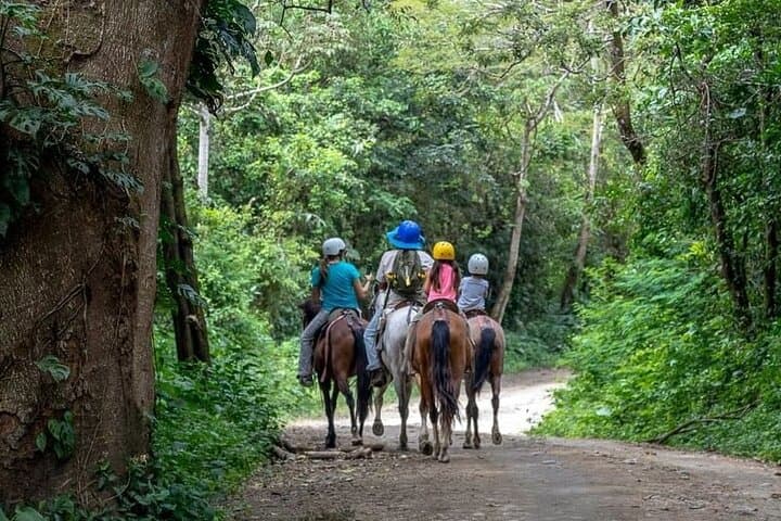 Mega Combo Old Corner: Canopy, Hot Springs and Horseback Riding