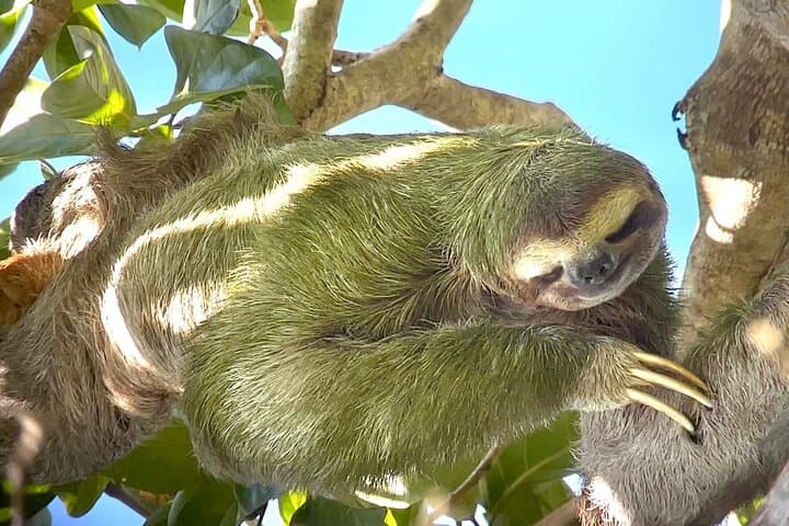 Manuel Antonio National Park last minute