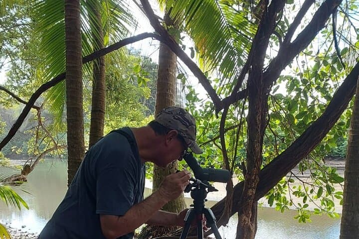 Birdwatching at Marino National Park, Uvita beach