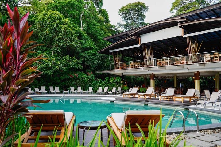 Pool and Bar