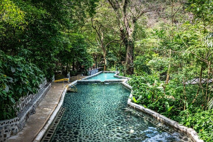 Rainforest Hotsprings