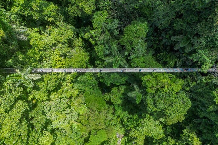 Mistico Hanging Bridges & La Fortuna Waterfall Tour with Lunch
