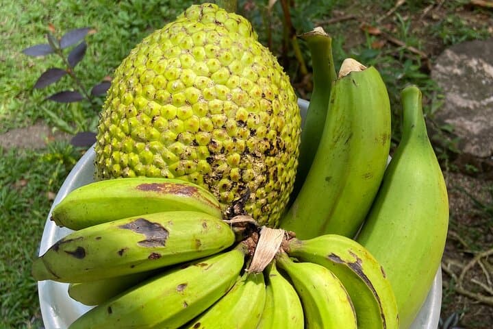 Brad frut - banana! You'll learn how to make chips, gate jacks.