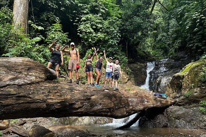 Jurassic Park Adventure - HIKE -10 Waterfalls + Pools & Much More