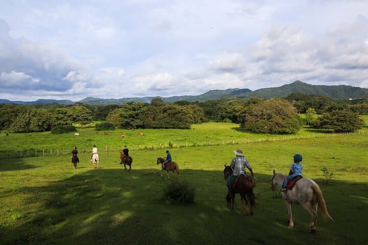 Half Day Private Guanacaste Horseback and Farm Tour