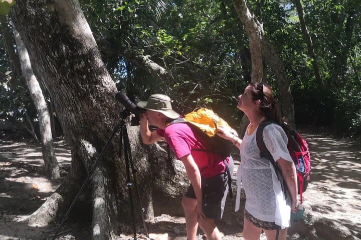Wildlife Observation at Cahuita National Park