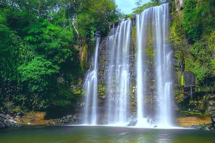 Sloths + waterfall at JW Marriott Costa Elena Resort Costa Rica