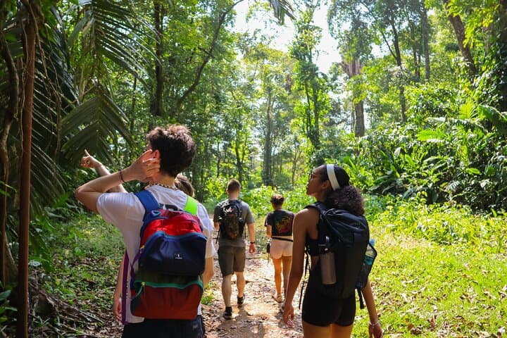 Lost in the jungle with our travelers