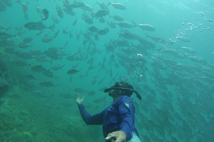 Snorkeling Adventure at Caño Island