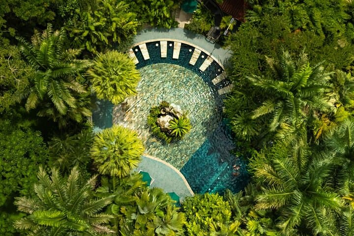 Hot spring pool with tropical gardens from above