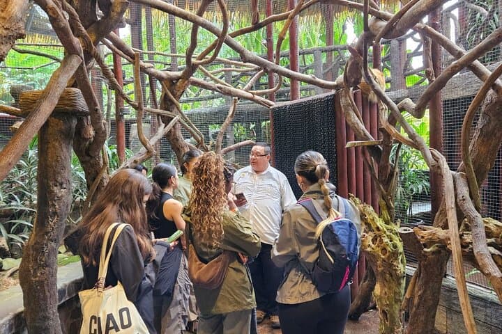 Guided experience at La Paz Waterfall Gardens