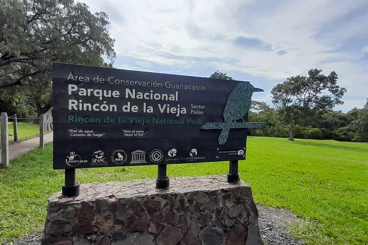 Rincón de la Vieja Rainforest Nature Hike with Naturalist Guide