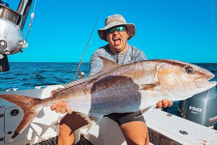 Amberjack
