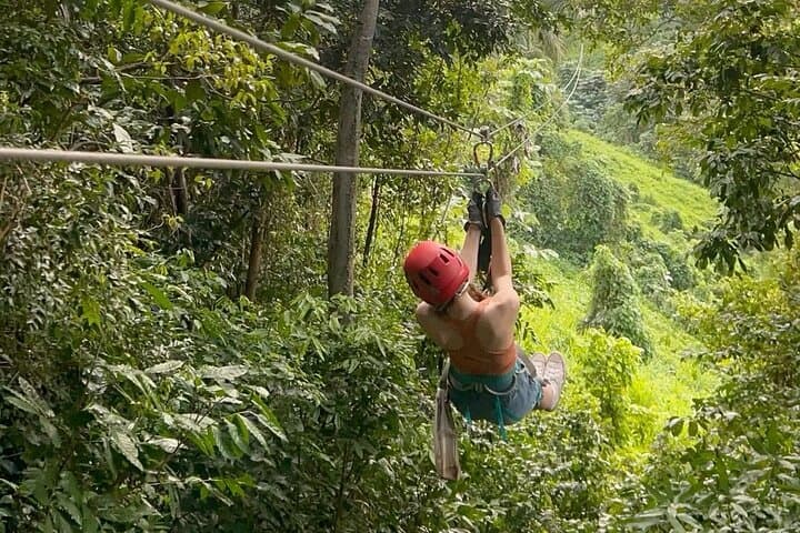 Tortuguero Canal Tour and Zipline Adventure