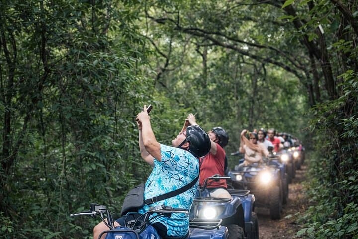 Looking for monkeys