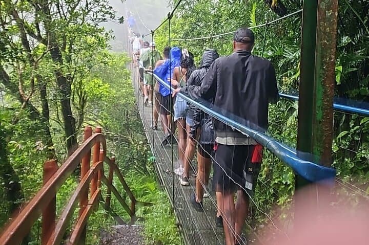 Suspension bridges