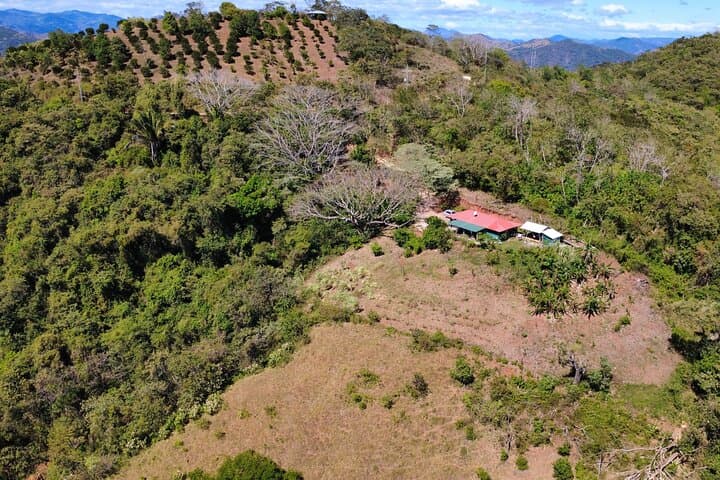Private Nature Experience at Nosara - Los Ángeles Waterfall