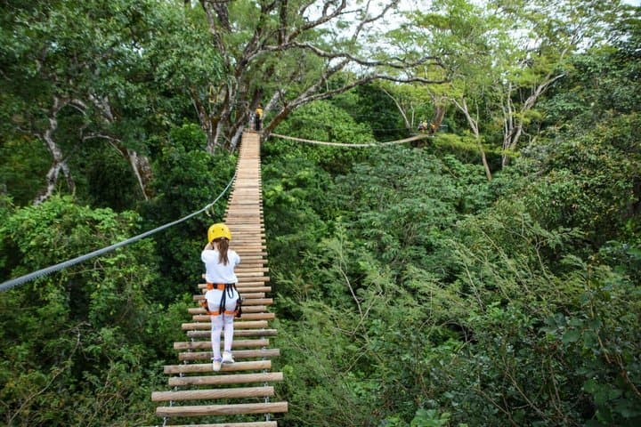 Hanging bridges