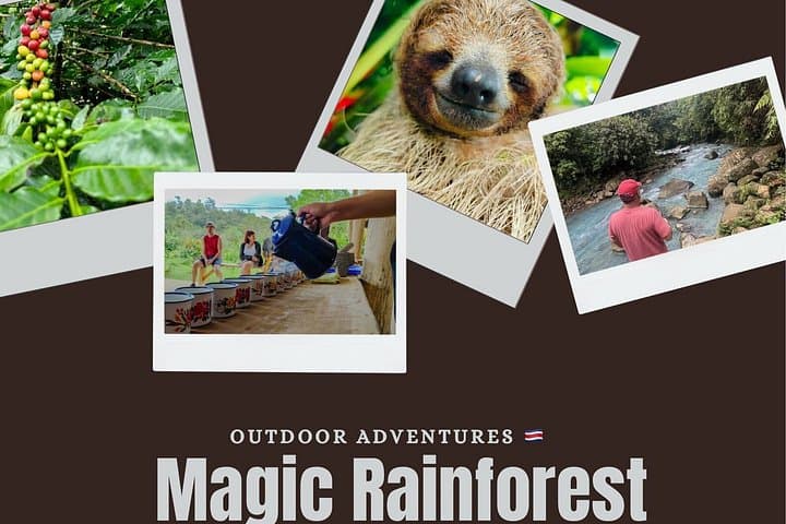 Private Magic Rainforest Blue River, Wildlife & Waterfalls Tour