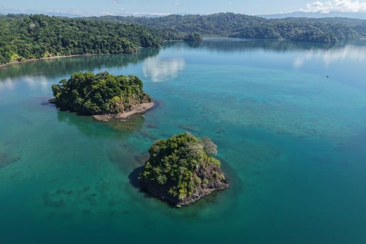 Osa Peninsula Jungle to Ocean Overnight Expedition From Uvita