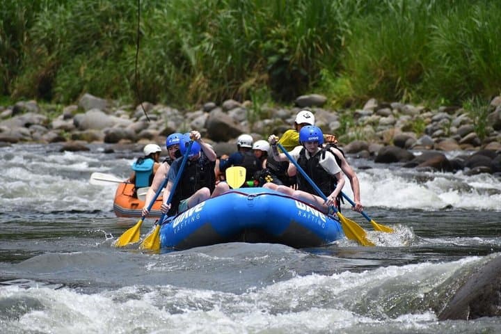 Rainforest Falls & White Water Rafting Class II & III