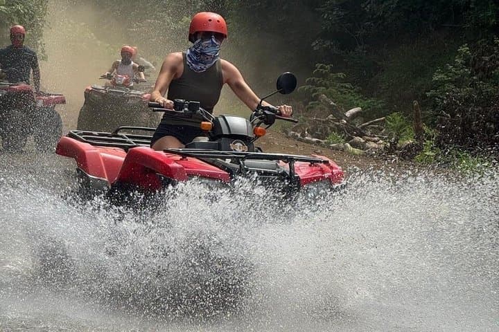 Beach & Mountain ATV Tour & Animal Sanctuary