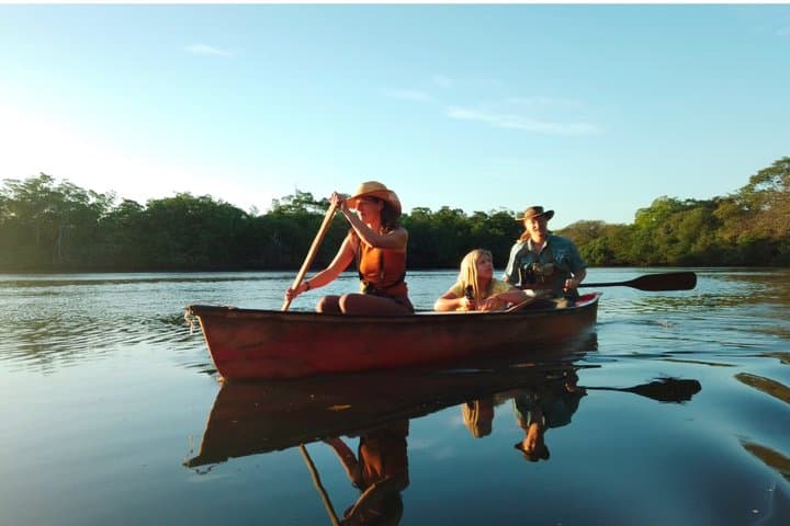 Private Wildlife Canoe Safari in the Mangrove forest.