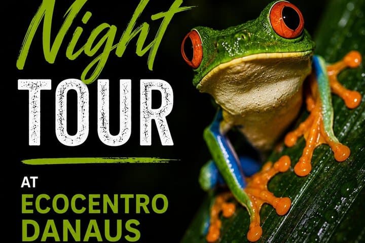 Private Night Tour: Frogs and Reptiles in Wildlife Reserve