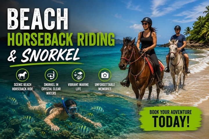 Beach Horseback Riding & Snorkel (Tamarindo, Potrero, Flamingo)