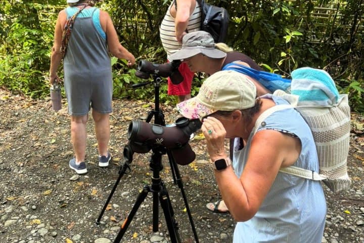 Private Manuel Antonio National Park Tour with Lunch