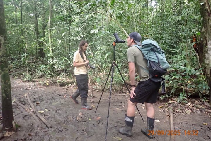 Puerto Jimenez Bird Watching Tour in Playa Blanca