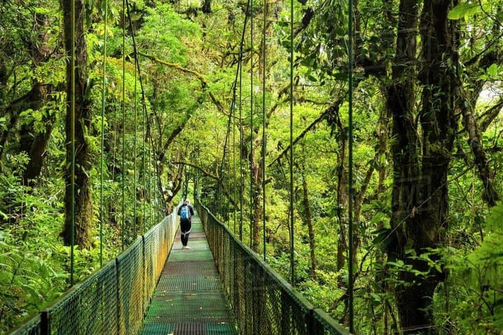 Private Monteverde Hanging Bridges Tour