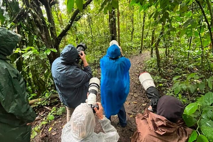 Birding and Photography Tour