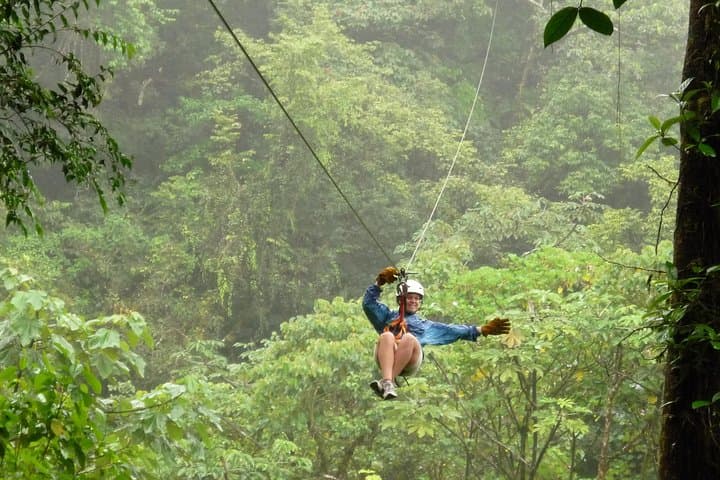 Canopy