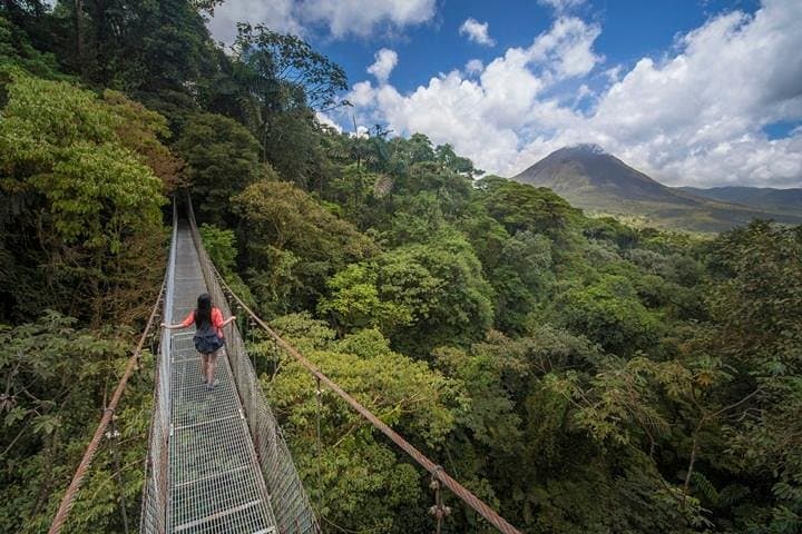 View from the hanging bridge