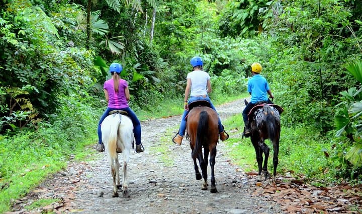 Horseback riding