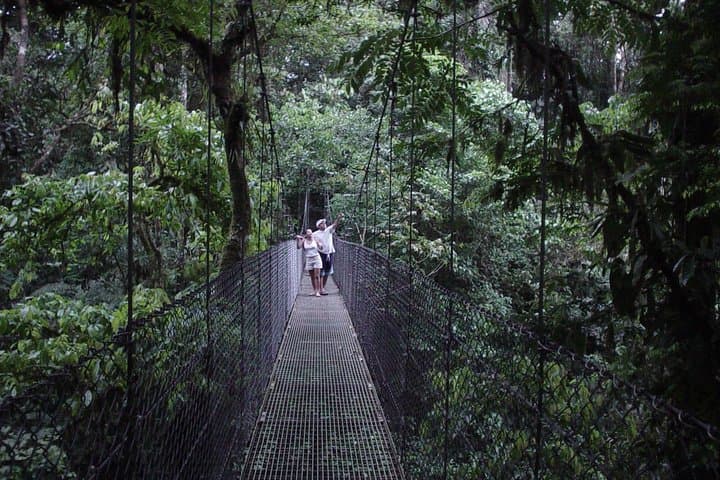 Hanging Bridges