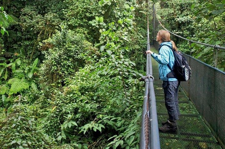 Hanging Bridge