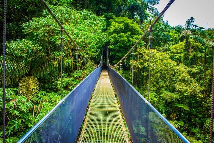 Hanging Bridges
