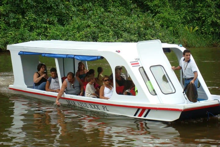 Tortuguero Canal Boat Tour & Banana Plantation. Shore Excursion from Puerto Limon