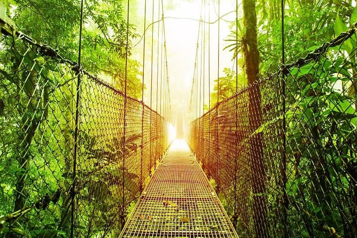 11 Days Ultimate Escape Costa Rica from Liberia