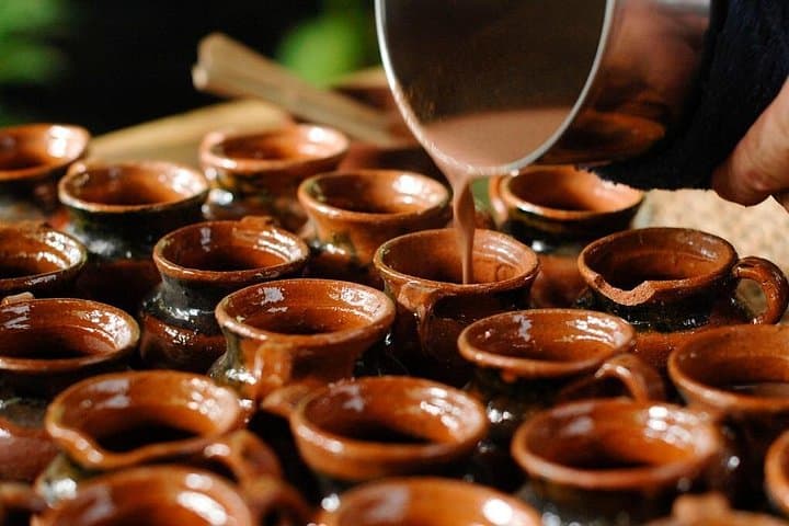 8 Days Jungle & Culinary Experience from San Jose