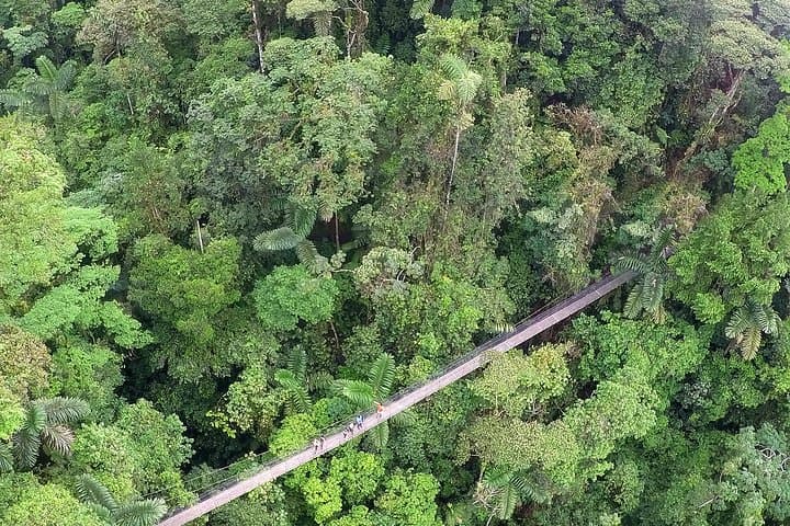 Mistico Park Hanging Bridges Aventuras Arenal