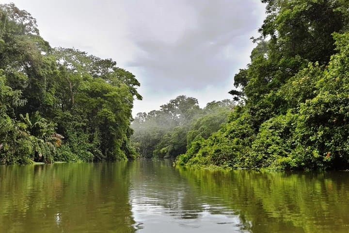 Full day at Tortuguero wild life observation at caribbean side all inclusive