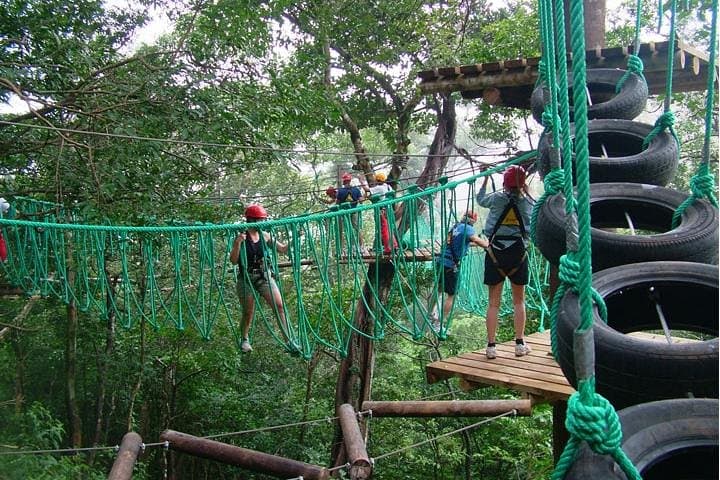 High Ropes in Big Papa Trail