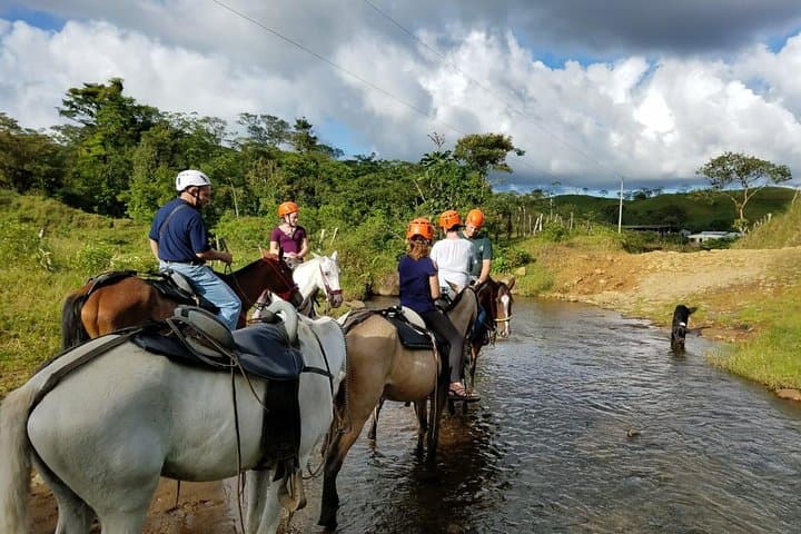 Horseback Riding Tour