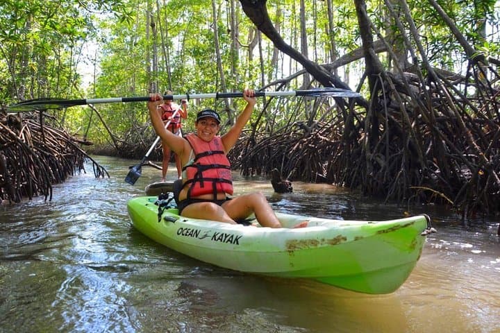 mangrove canales formed by mangrove tree