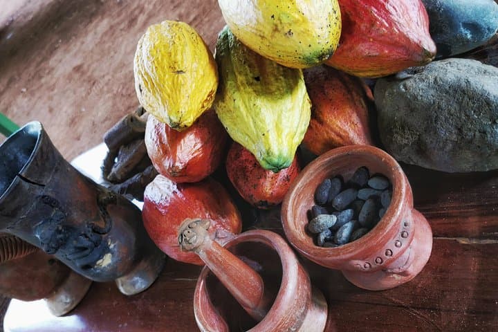 Cacao pods